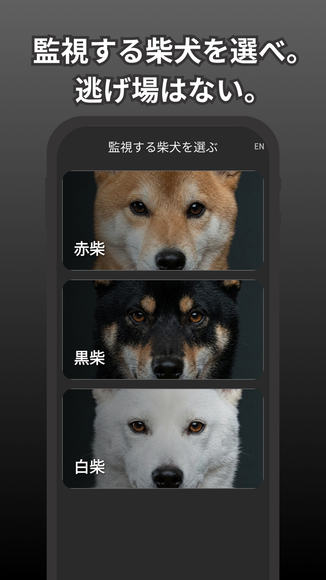 圧柴 スクリーンショット 1