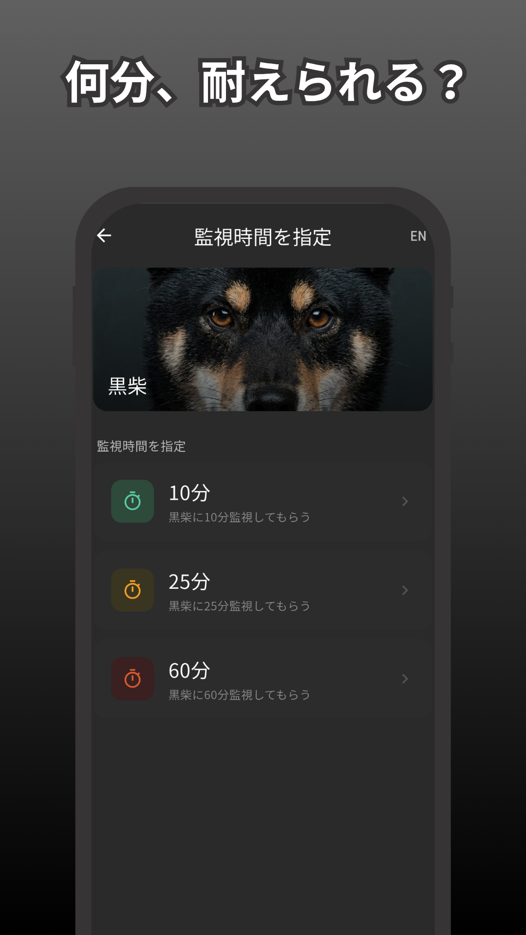 圧柴 スクリーンショット 2