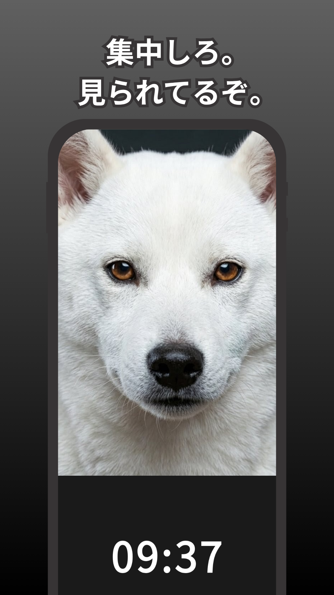 圧柴 スクリーンショット 3